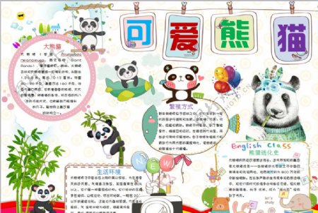 熊猫小报
