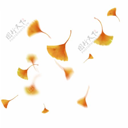 漂浮的银杏叶漂浮的树叶手绘银杏叶