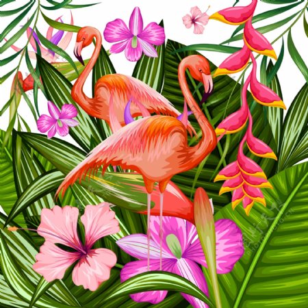 热带植物花卉火烈鸟