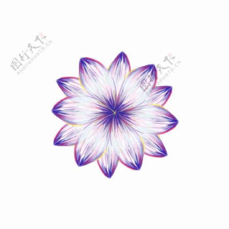 紫色梦幻花瓣植物彩铅手绘可商用元素