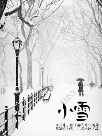 雪中的寒冷内心的孤独海报