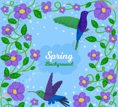春季紫色花卉和蜂鸟