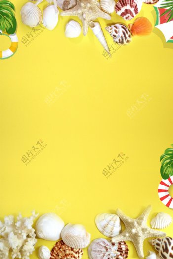 贝壳海星沙滩度假黄色