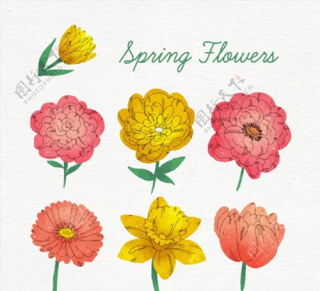 7款彩绘春季花朵矢量素材