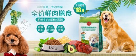 小清新宠物食品海报设计