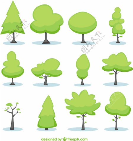 自然树木插图