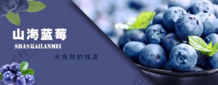 BANNER蓝莓