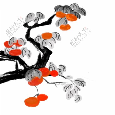 手绘中国画柿子树原创元素