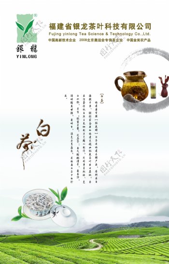 茶道