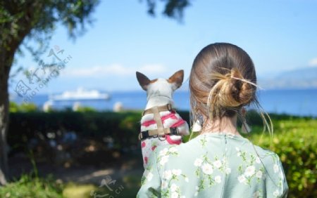 美女抱着一只狗看风景