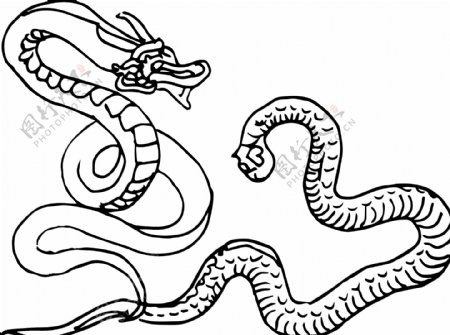 十二生肖龙蛇手绘线条黑白动态