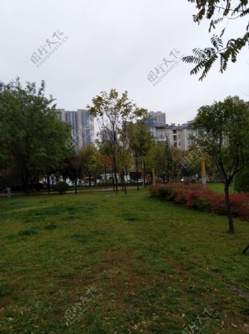 雨天的公园风景