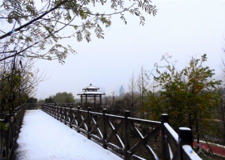 泸州初雪