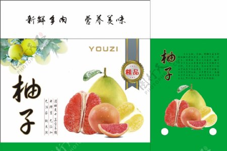柚子包装设计原图