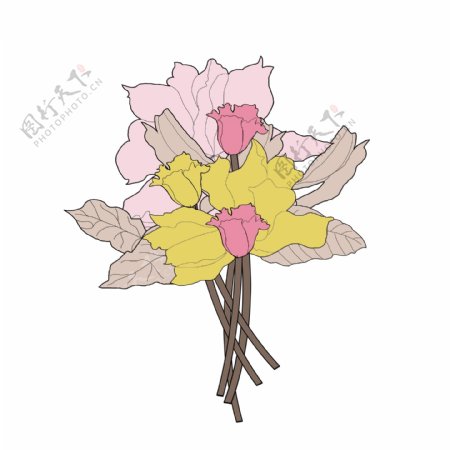 手绘植物花束插画可商用