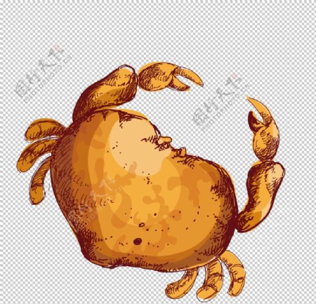 金色手绘螃蟹图案