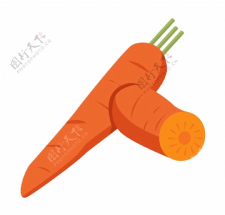 手绘蔬菜胡萝卜插画
