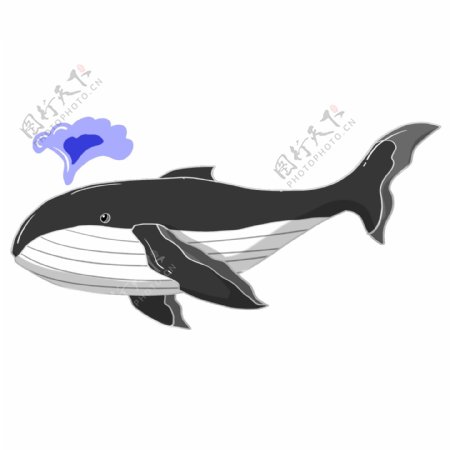 黑色戏水的鲸鱼插画