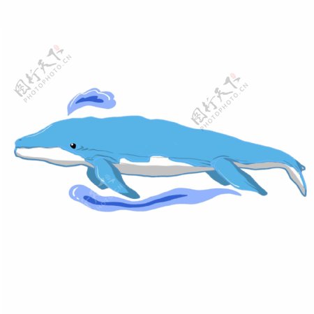 手绘蓝色喷口水鲸鱼插画