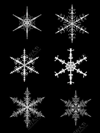 仿真冰晶冬季雪花图装饰元素