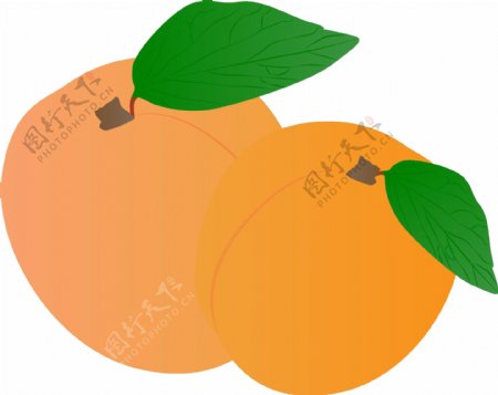 手绘插画食物水果