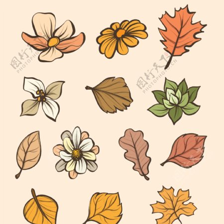 多款手绘秋天树叶小图标设计元素模板