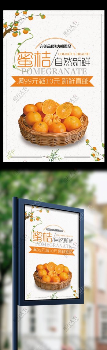 纯天然新鲜水果鲜橙桔子采摘海报设计