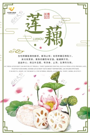 中国风莲藕海报设计