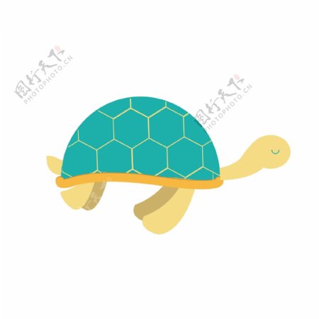 海龟乌龟海洋生物装饰素材设计