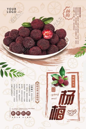 2018水果美食促销杨梅海报