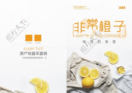非常橙子水果画册封面设计