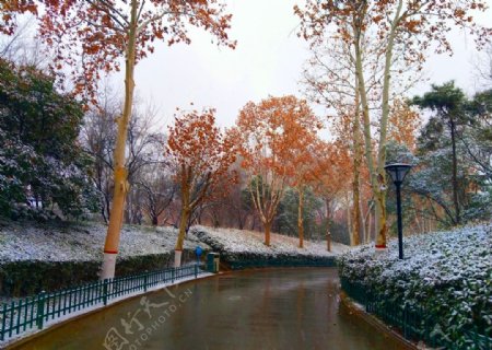 冬日里的公园风景