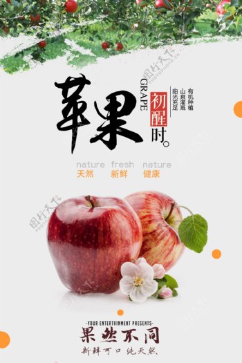 田园苹果海报设计