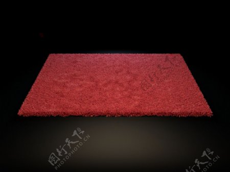 红色地毯模型