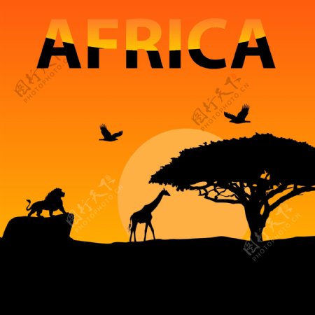 非洲树木矢量海报