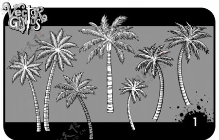 矢量素材椰子树