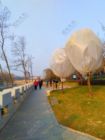 夕阳下的公园风景