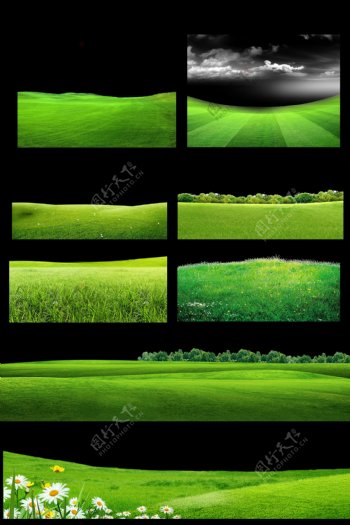 绿色清新草地草坪元素