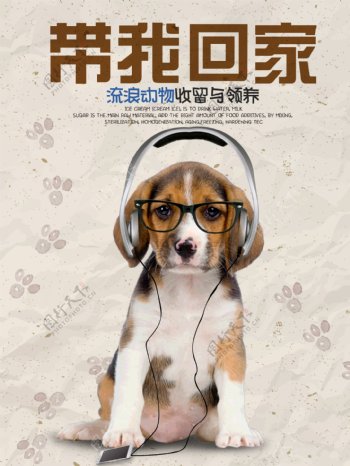 宠物海报