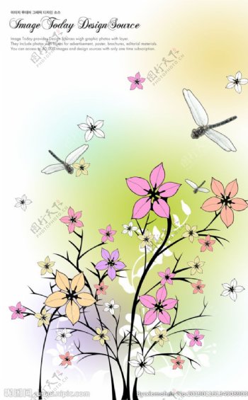 花卉蜻蜓图案
