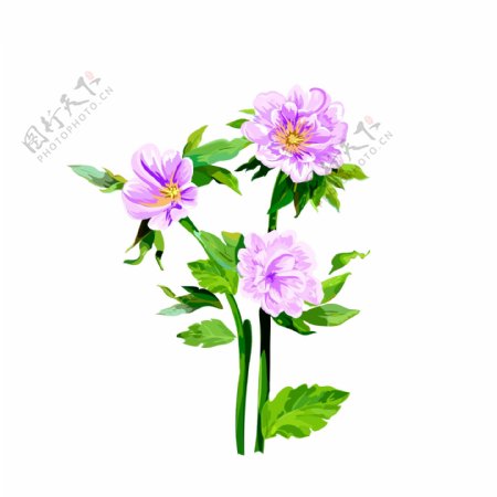 手绘水彩风植物盆景浅紫色花卉