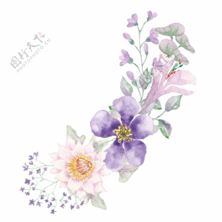 手绘高贵的水彩花卉植物素材