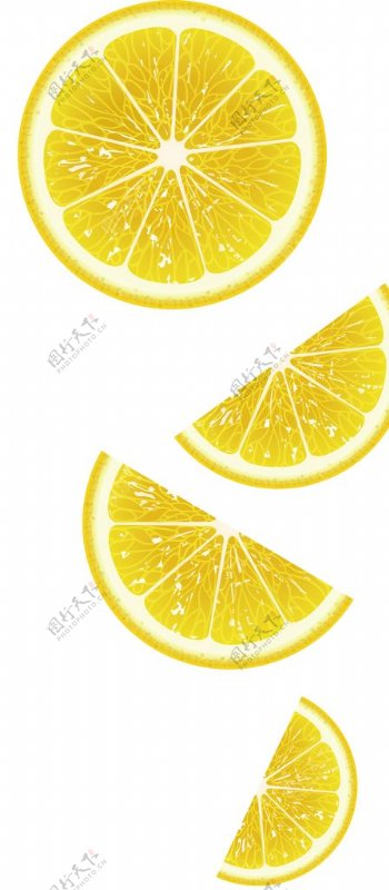 矢量橙汁水果素材