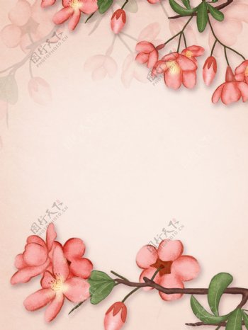 粉色浪漫花卉植物插画背景