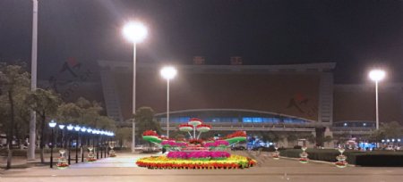 三角梅节日氛围国庆春节