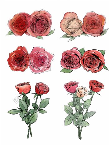 手绘原创复古免抠素材玫瑰花情人节鲜花植物