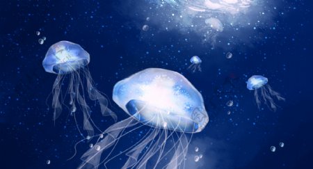 唯美深海水母