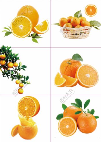 062橙子
