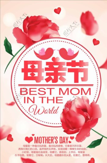 母亲节花朵海报展板设计