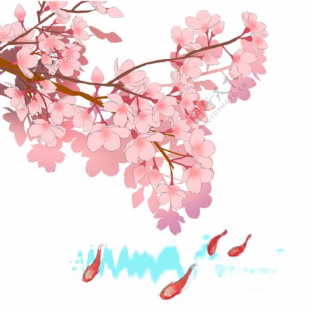 日本春季樱花锦鲤唯美风景
